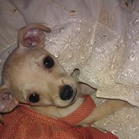 Foto Matilde 